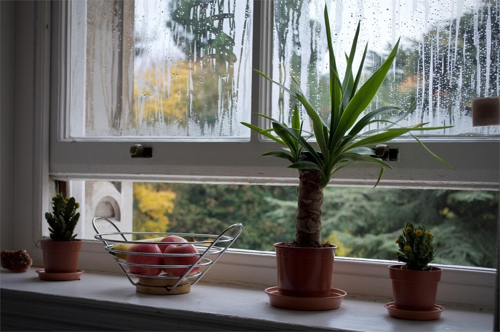 Cómo puedo evitar la condensación en las ventanas? - Impermeabilización